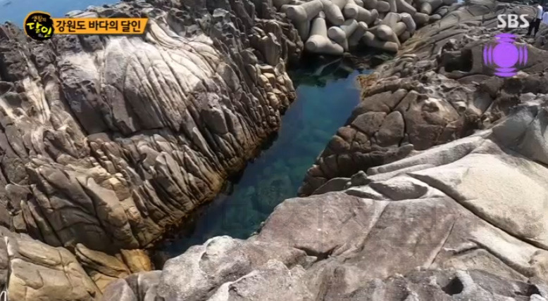 강원도 바다의 달인 강원도 사람 적은 바닷가 해변 어디? 생활의달인 김한웅 사진 찍기 좋은 곳 1 ywAAAAAAQABAAACAUwAOw==