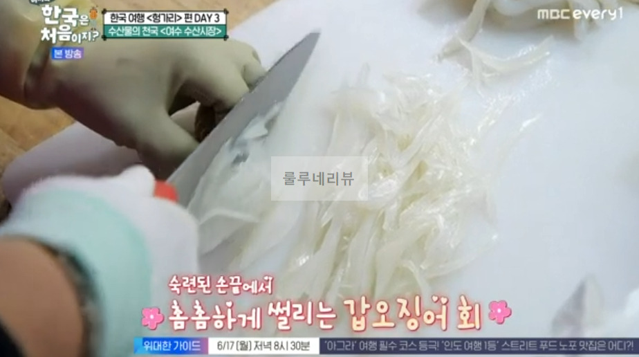 어서와 한국은 처음이지 헝가리 편 여수, 직접 고른 해산물 한 상 횟집 식당 촬영지 어디? 갑오징어회 갈치 1 ywAAAAAAQABAAACAUwAOw==