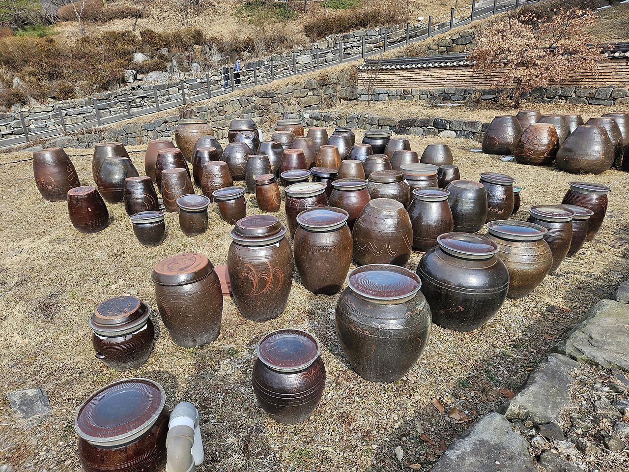 파주 가볼만한곳 :: 영조의 효심 천년사찰 고령산 보광사 후기 (ft. 주차팁) 21 ywAAAAAAQABAAACAUwAOw==