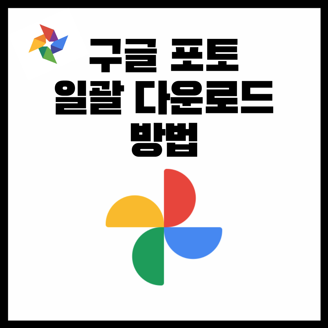 구글포토 사진 전체 다운로드 방법 - How to Download All Google Photo files 1 ywAAAAAAQABAAACAUwAOw==