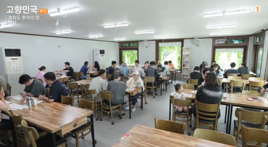 고향민국 백합 식당, 계화도 추억의 맛 백합죽 백합탕 백합찜 백합파전 파는 곳 어디? 이화자 대표 3 ywAAAAAAQABAAACAUwAOw==