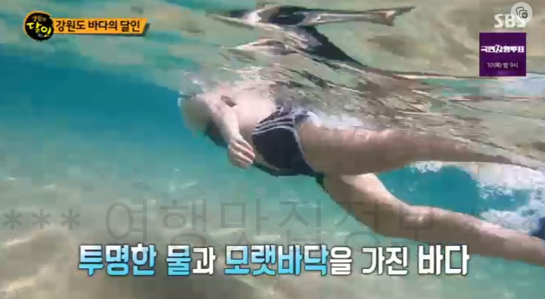 생활의달인 강원도 바다의 달인 스노클링 할 수 있는 곳 추천 - 심곡항 공현진 송지호해수욕장 7 ywAAAAAAQABAAACAUwAOw==
