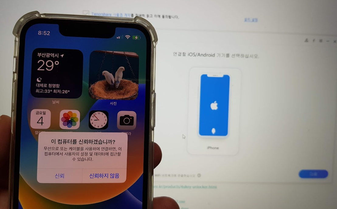 2023 포켓몬고 페스트 메가디안시 잡는 법, 오사카에서 뉴욕까지 위치조작 으로 포켓몬고 페스타 참여하기 (페스티벌) 5 ywAAAAAAQABAAACAUwAOw==
