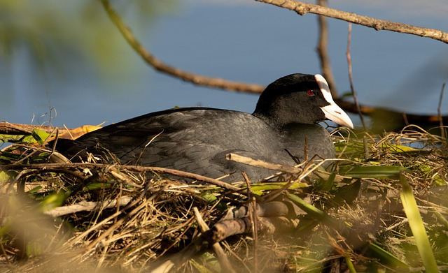 여드름 피부 수면팩으로 완벽 관리하는 법 4 img