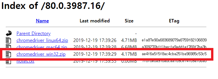 chrome driver1