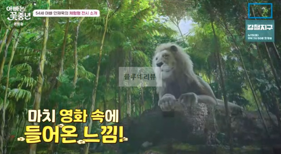 아빠는꽃중년 안재욱 체험형 전시 소개 촬영지 장소 위치 어디? 3 ywAAAAAAQABAAACAUwAOw==