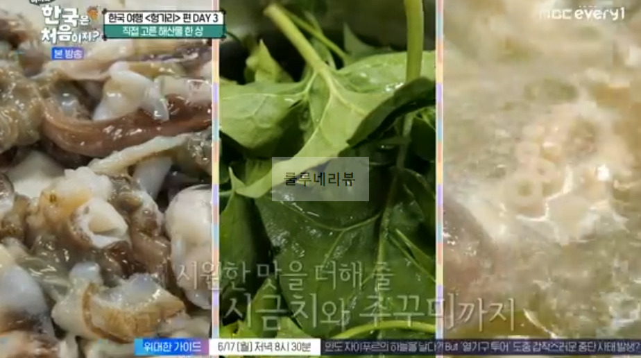 어서와 한국은 처음이지 헝가리 편 여수, 직접 고른 해산물 한 상 횟집 식당 촬영지 어디? 갑오징어회 갈치 8 ywAAAAAAQABAAACAUwAOw==