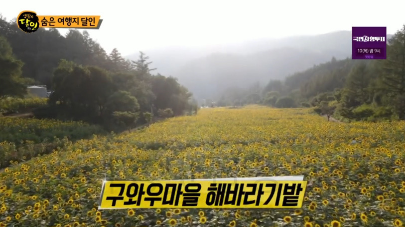 생활의달인 숨은 여행지 달인 - 강원도 이국적인 여행지 BEST 3 12 ywAAAAAAQABAAACAUwAOw==