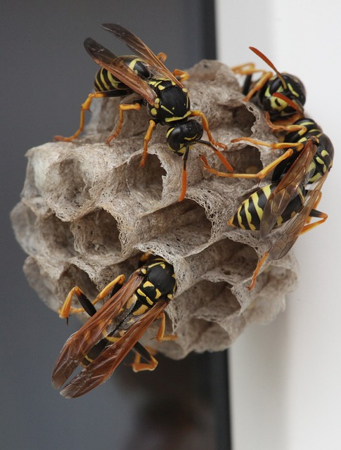 내돈내산 듀얼소닉 맥시멈 후기와 홈케어 기기 완벽 사용법 4 img