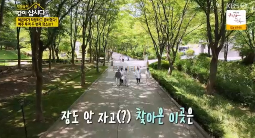 같이삽시다 여주 체험형 수목원, 낙우송, 피크닉 장소 위치 어디? 3 ywAAAAAAQABAAACAUwAOw==
