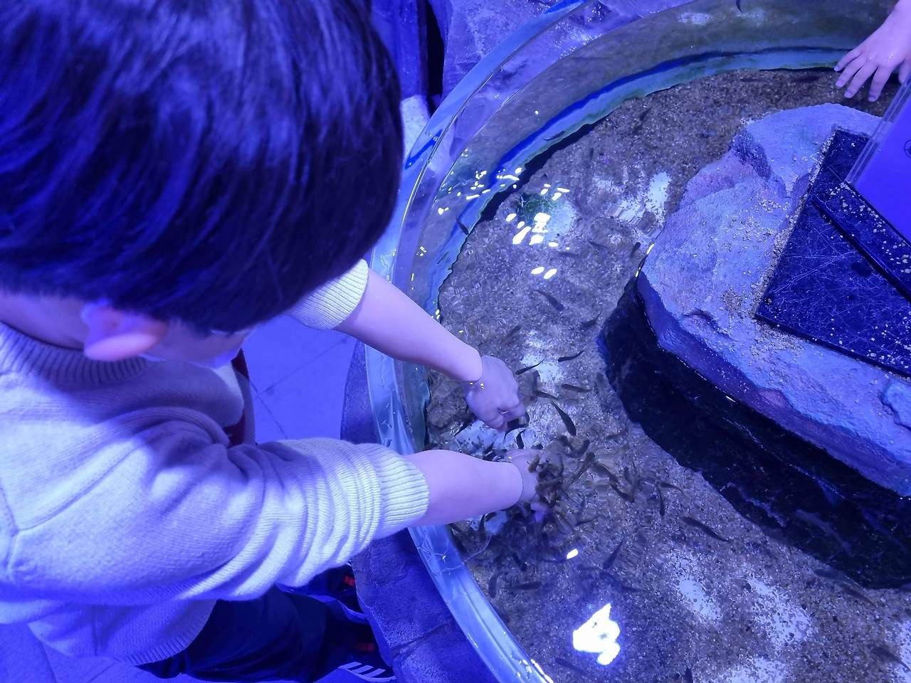 고양스타필드 매직플로우 아쿠아리움 수족관카페 후기 15 ywAAAAAAQABAAACAUwAOw==
