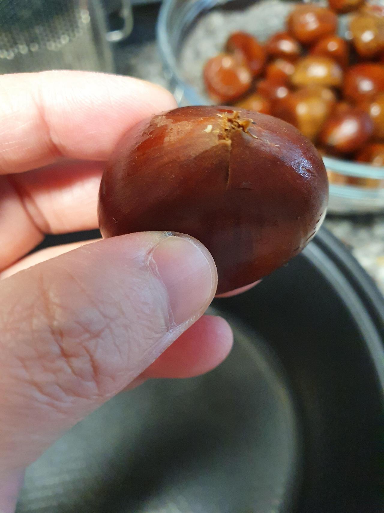 밤 맛있게 삶는 법 4 ywAAAAAAQABAAACAUwAOw==