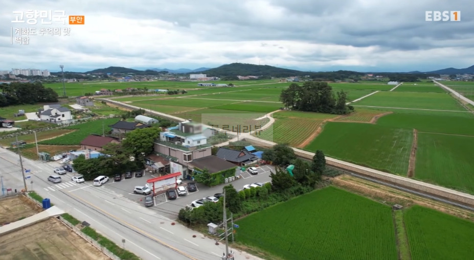 고향민국 백합 식당, 계화도 추억의 맛 백합죽 백합탕 백합찜 백합파전 파는 곳 어디? 이화자 대표 2 ywAAAAAAQABAAACAUwAOw==