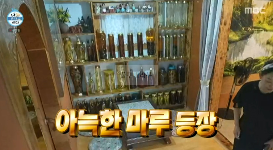 나혼자산다 박나래 전현무 풀빌라 시골집 촌캉스 숙소 촬영지 어디? 8 ywAAAAAAQABAAACAUwAOw==