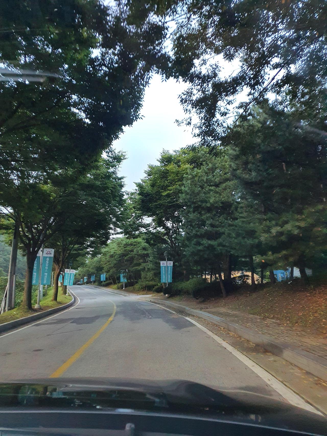 엘리시안강촌 퍼블릭6홀에서 주말골프즐기기 1 엘리시안강촌-퍼블릭-입구