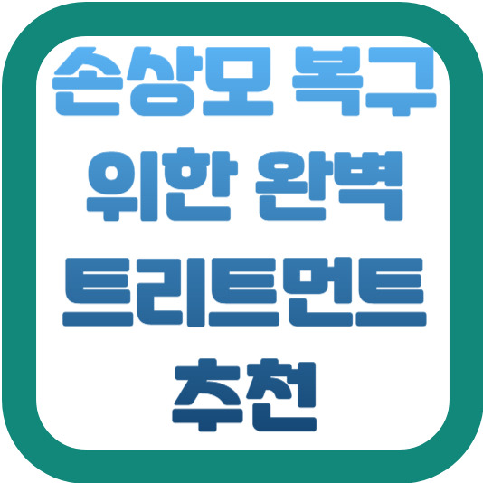 손상모 복구를 위한 완벽 트리트먼트 추천 2 img