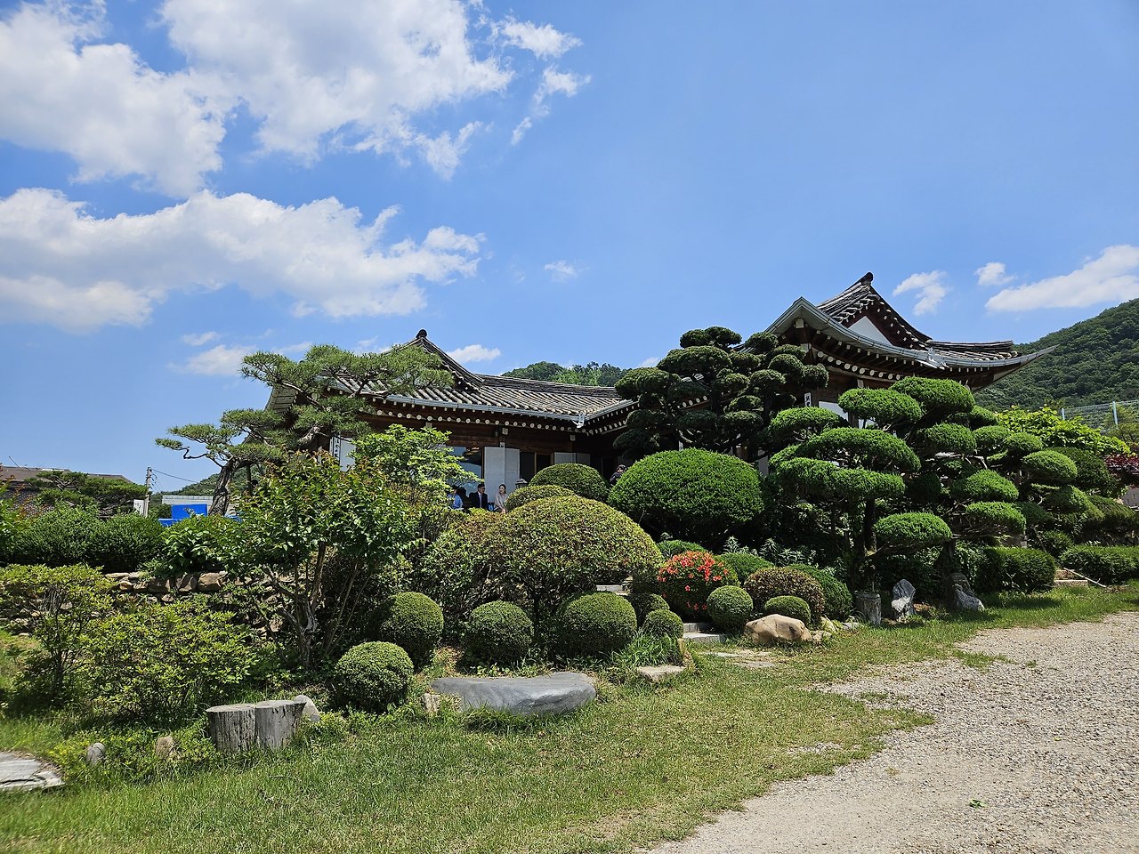 용인 송담고택 야외 스몰웨딩 하객 참석 후기 2 ywAAAAAAQABAAACAUwAOw==