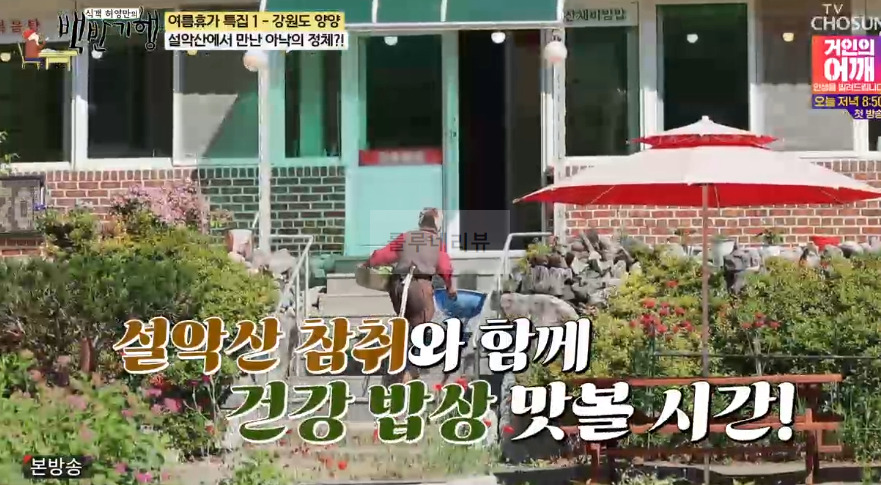백반기행 설악산 양양 모둠 정식, 건강에서 가성비까지 맛집, 어디? 의기양양 김성경 양양 밥상 4 ywAAAAAAQABAAACAUwAOw==