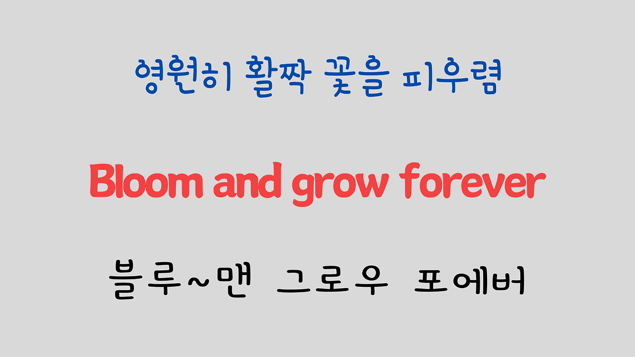팝송 영어 Edelweiss 가사 해석 발음 원리 - 영화 Sound of Music OST 9 ywAAAAAAQABAAACAUwAOw==