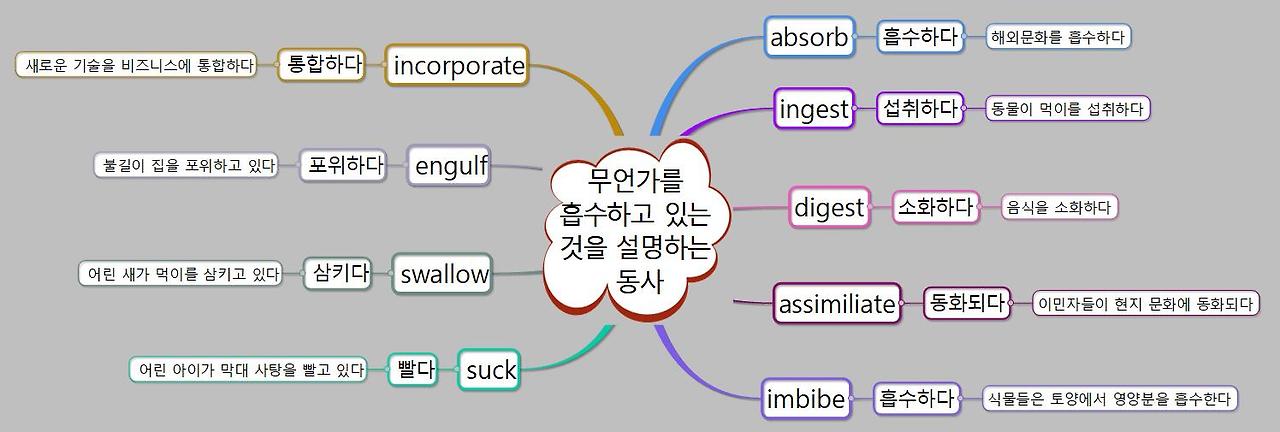 기적의 영단어 공부 - '흡수하다'라는 뜻을 가진 주요 어휘 2 '흡수하다'는 의미를 갖는 영단어 마인드맵