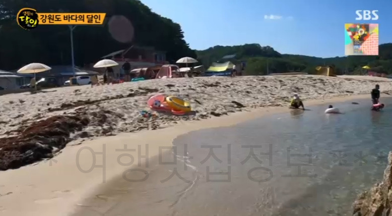 강원도 바다의 달인 강원도 사람 적은 바닷가 해변 어디? 생활의달인 김한웅 사진 찍기 좋은 곳 5 ywAAAAAAQABAAACAUwAOw==