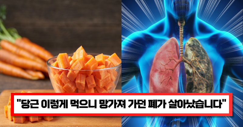 “당근은 이렇게 먹어야 효과 있다고..” 폐의 염증을 예방해주고 면역력을 200% 상승시켜 준다는 당근 레시피 1가지
