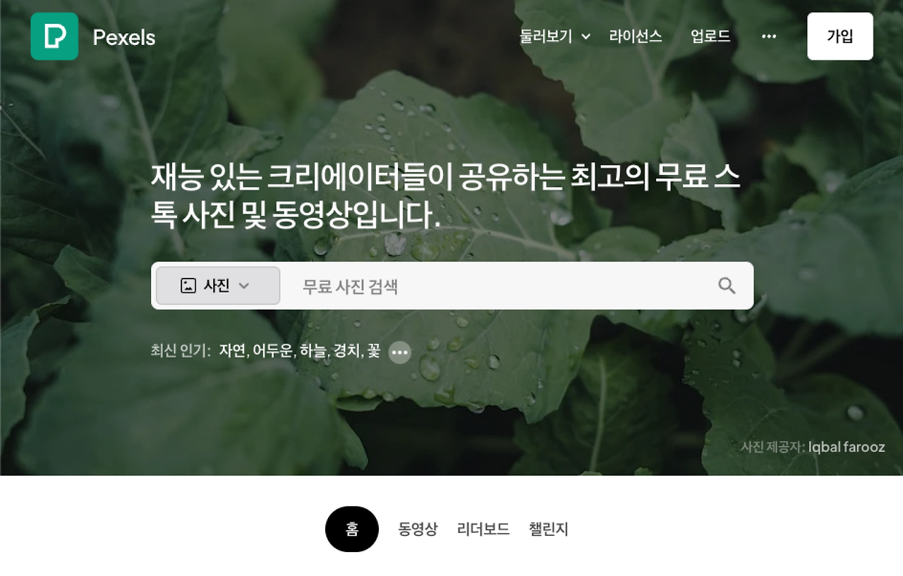 무료 저작권 없는 이미지 다운로드 사이트 5가지 추천 9 Pexels 크리에이터 무료 스톡 사진