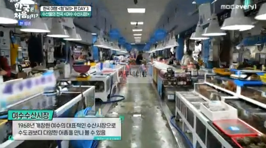 한국은 처음이지 헝가리 편 <여수 수산시장> 촬영지 위치 어디? 수산물의 천국 횟집 3 ywAAAAAAQABAAACAUwAOw==