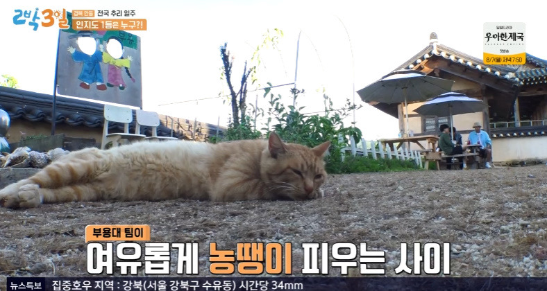2박3일 안동 전국 추리 일주 카페 촬영지 장소 어디? 3 ywAAAAAAQABAAACAUwAOw==