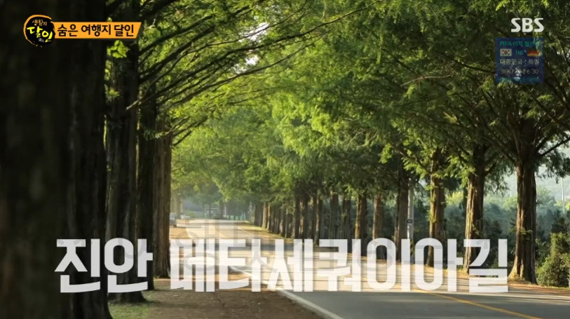생활의달인 숨은 여행지 달인 - 황익수 계곡 여행 달인 추천 여행 장소 보기 3 ywAAAAAAQABAAACAUwAOw==