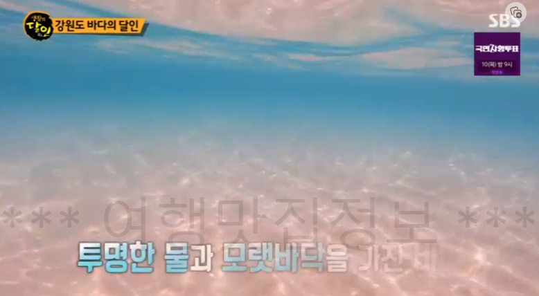 생활의달인 강원도 바다의 달인 스노클링 할 수 있는 곳 추천 - 심곡항 공현진 송지호해수욕장 6 ywAAAAAAQABAAACAUwAOw==