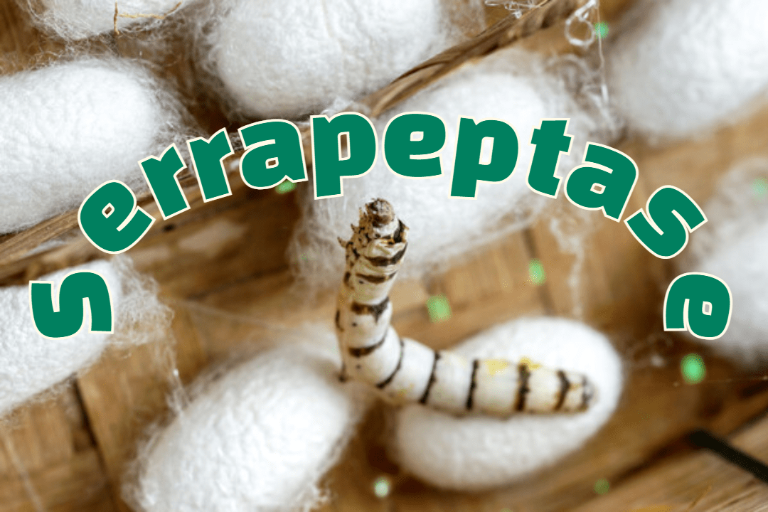세라펩타아제 복용, 효과와 부작용을 알아보자! 1 Serrapeptase