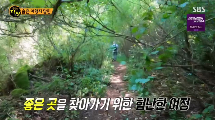 생활의달인 숨은 여행지 달인 - 황익수 계곡 여행 달인 추천 여행 장소 보기 17 ywAAAAAAQABAAACAUwAOw==