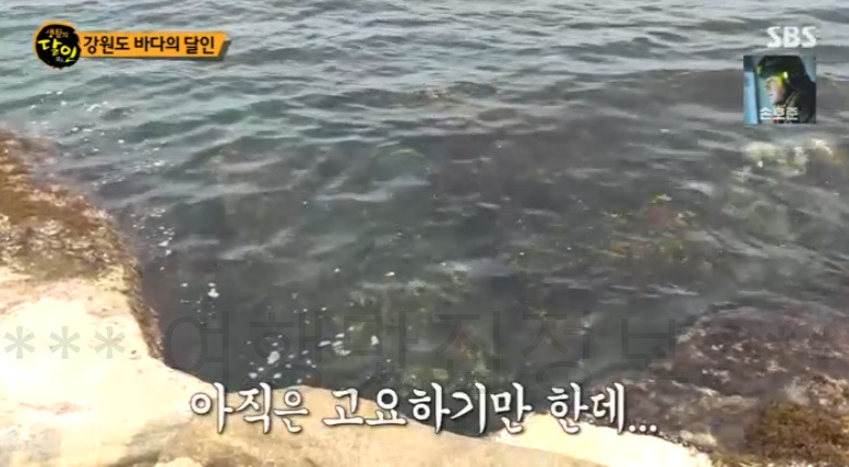 생활의달인 바다 여행 달인 김한웅! 강원도 바다 숨겨진 여행 명소 10 ywAAAAAAQABAAACAUwAOw==