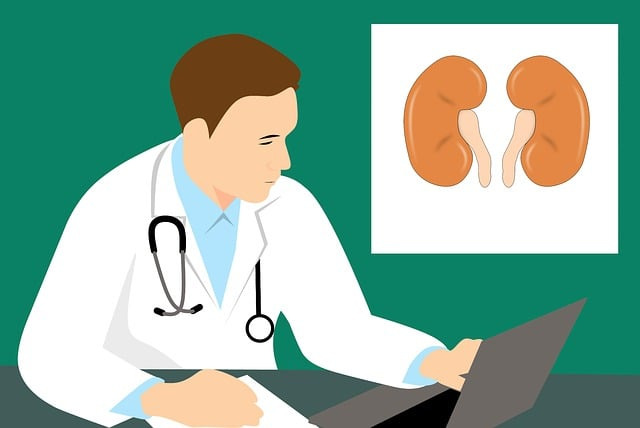 만성신부전 식단 이런 것들은 꼭 피하세요! 1 의사가 환자에게 만성신부전 식단을 안내하고 있다