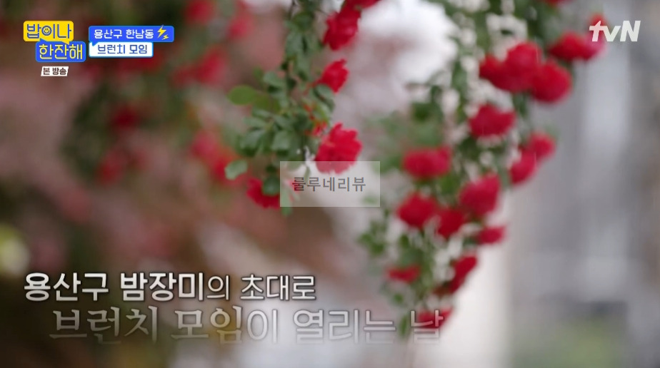 밥이나한잔해 용산구 한남동 브런치 모임 정원 뷰 레스토랑 촬영지 위치 어디? 2 ywAAAAAAQABAAACAUwAOw==