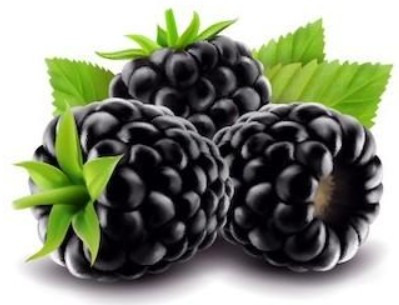 갑상선에 좋은음식