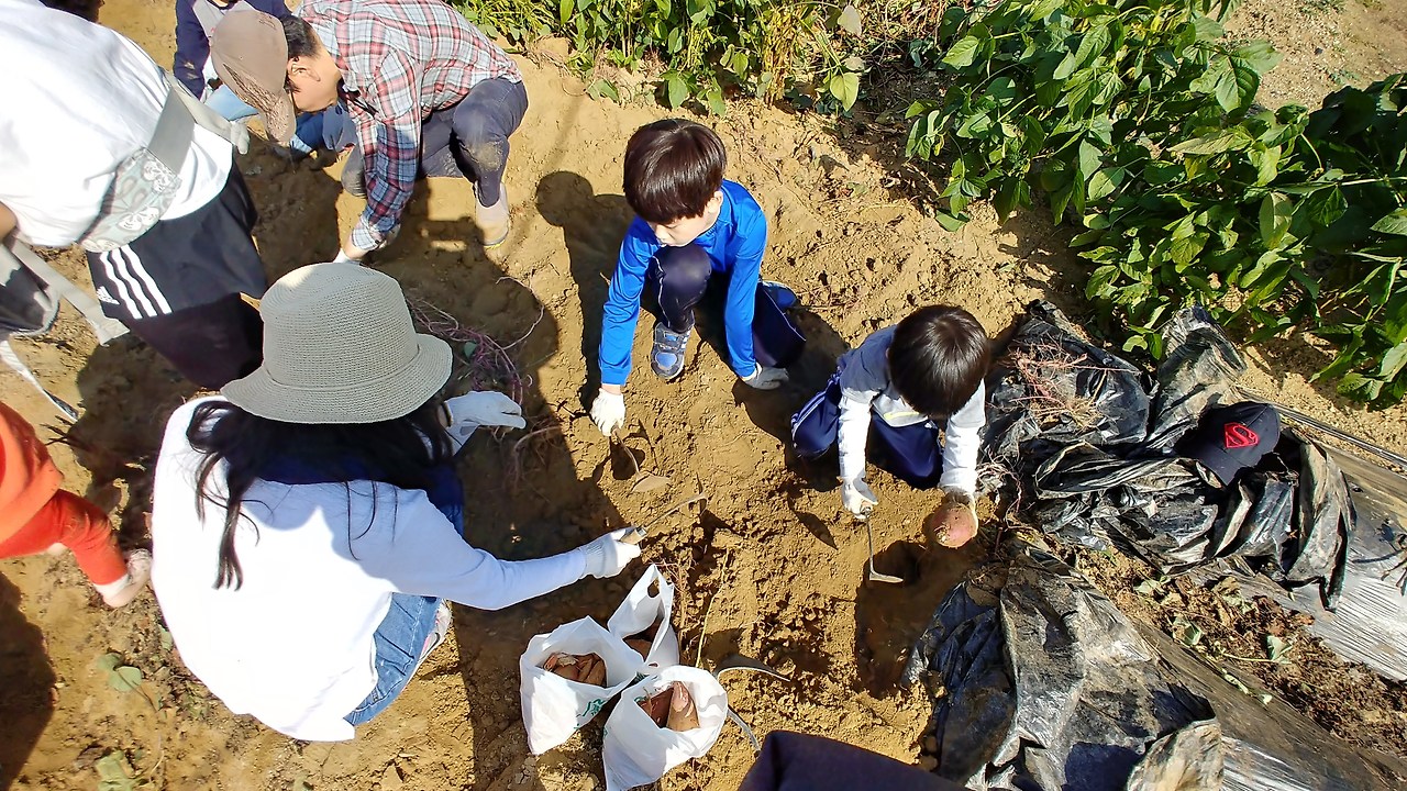 문체부 :: 2022년 여행가는 달 (6/2~30일), 저렴하게 나들이 가기 5 ywAAAAAAQABAAACAUwAOw==