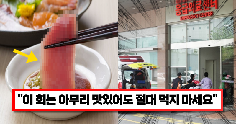 “특히 여름철에 정말 조심해야 합니다” 생으로 먹으면 전신마비, 호흡곤란으로 사망할 수도 있다는 해산물 3가지