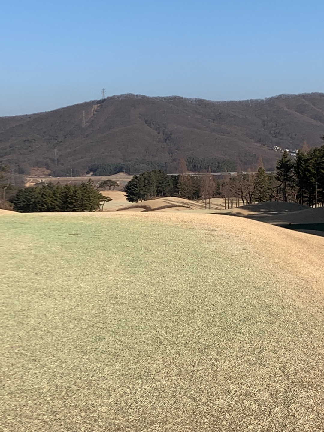 용인 아시아나CC 서코스 골프 라운드 후기 9 ywAAAAAAQABAAACAUwAOw==