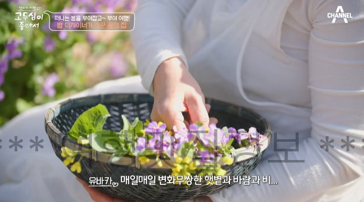 고두심이 좋아서 52회 부여 여행 밥 디자이너가 가꾼 꿈의 집 샌드위치, 꽃차 파는 곳 어디? 4 ywAAAAAAQABAAACAUwAOw==