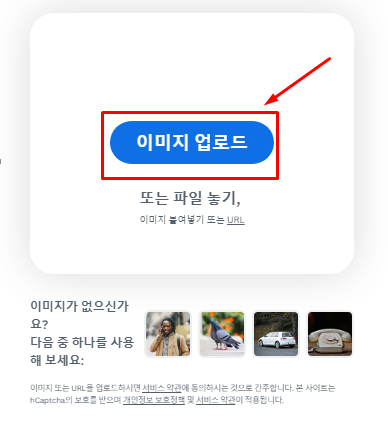 5초 만에 100% 이미지 배경 제거, 투명 배경 만들기 해주는 웹사이트 9 ywAAAAAAQABAAACAUwAOw==