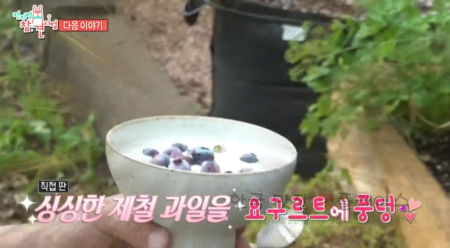 전지적참견시점 이영자 블루베리청 요거트, 제철과일 요구르트 레시피 2 ywAAAAAAQABAAACAUwAOw==
