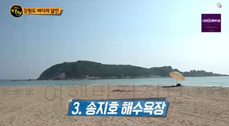 생활의달인 강원도 바다의 달인 스노클링 할 수 있는 곳 추천 - 심곡항 공현진 송지호해수욕장 5 ywAAAAAAQABAAACAUwAOw==