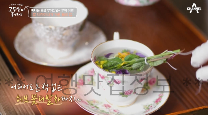 고두심이 좋아서 52회 부여 여행 밥 디자이너가 가꾼 꿈의 집 샌드위치, 꽃차 파는 곳 어디? 5 ywAAAAAAQABAAACAUwAOw==