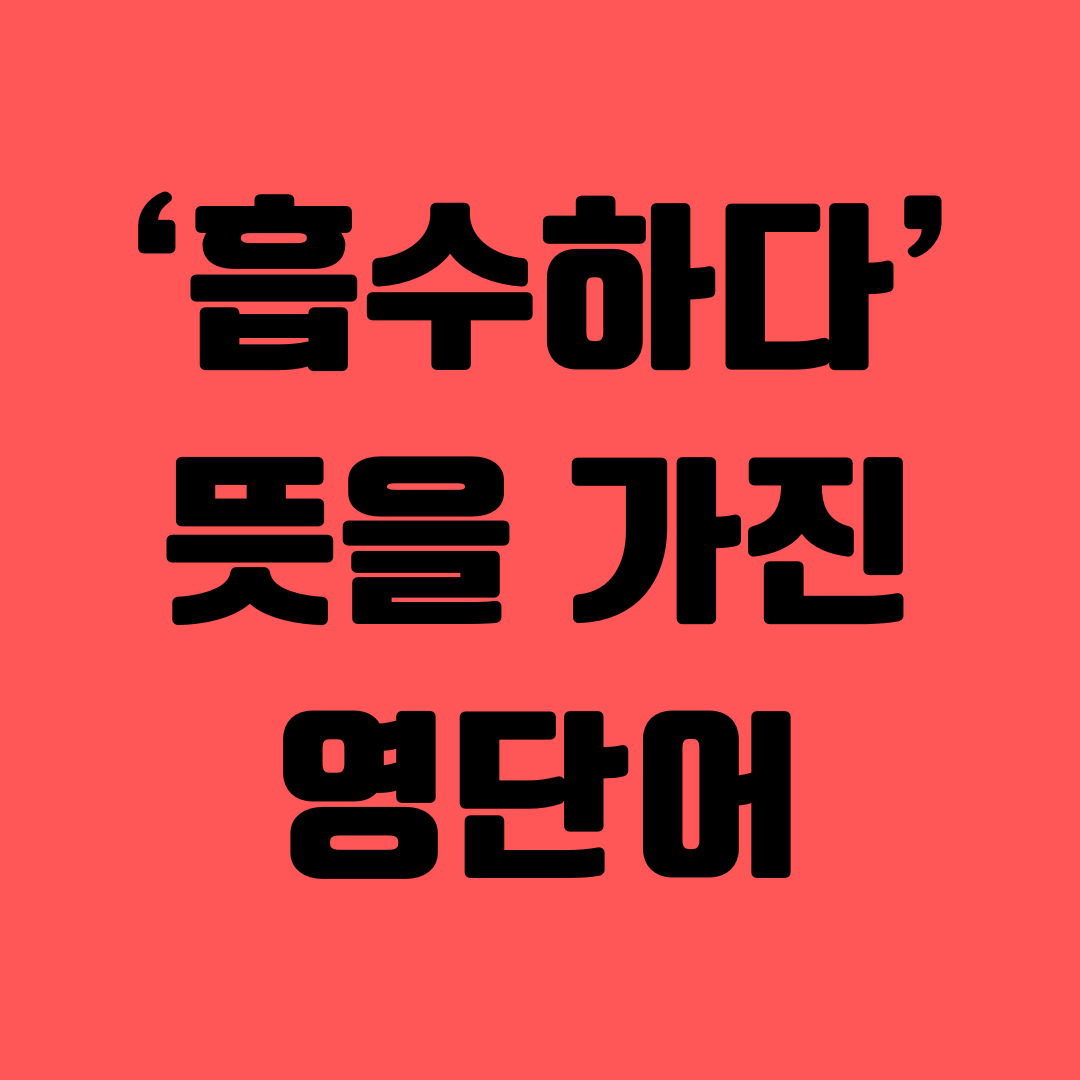 기적의 영단어 공부 - '흡수하다'라는 뜻을 가진 주요 어휘 1 기적의영단어공부-흡수하다