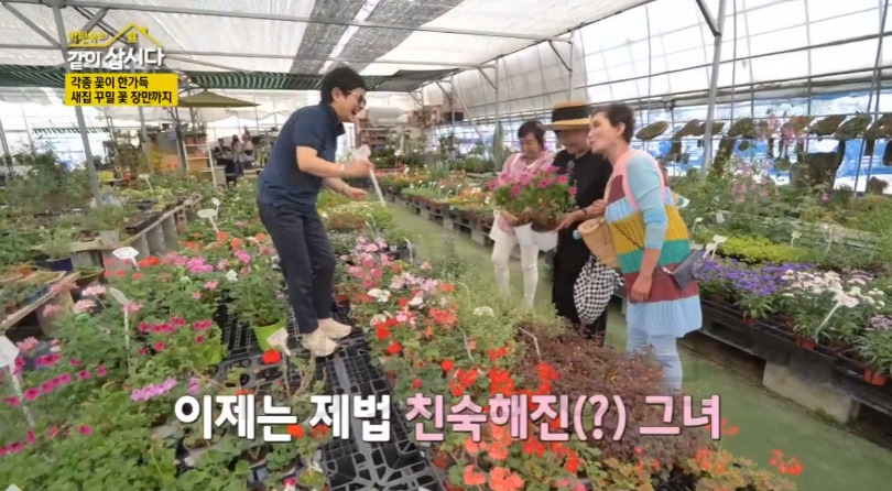 같이삽시다 서천 꽃집, 화훼단지 어디? 각종 꽃이 한가득 새집 꾸밀 꽃 장만까지 박원숙 5 ywAAAAAAQABAAACAUwAOw==