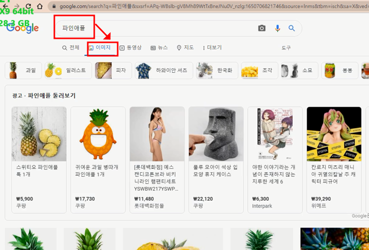 웹 페이지에 있는 이미지 전부 다운로드 받기 (이미지 크롤링) 2 ywAAAAAAQABAAACAUwAOw==