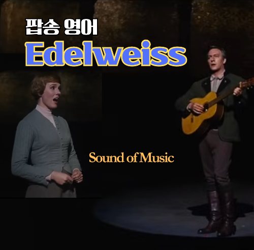팝송 영어 Edelweiss 가사 해석 발음 원리 - 영화 Sound of Music OST 1 팝송 영어 Edelweiss 가사 해석 발음 원리