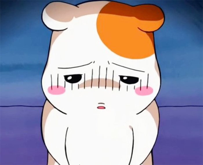 주식용어정리)꼭 알아야 하는 투자지표인 'ROE'에 대해 핵심만 쏙쏙 정리 (ノ ́ヮ ́)ノ 4 ywAAAAAAQABAAACAUwAOw==